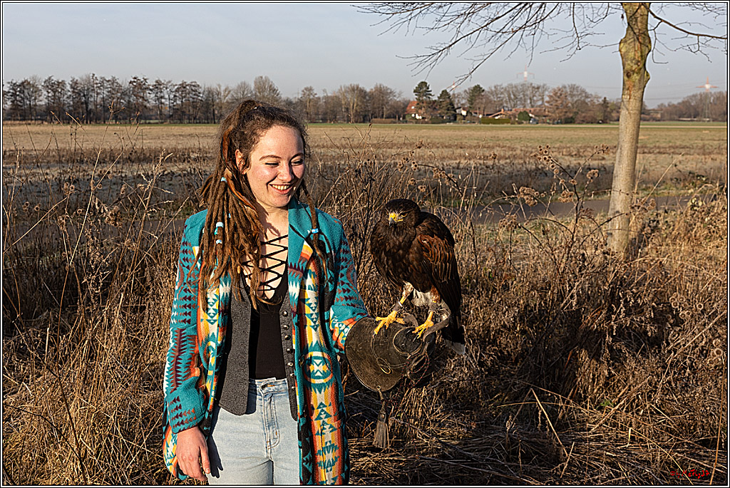 Cheyenne-Halbblut Hunting Wolf in der Falknerei Pierre Schmidt; Gymnich, 09.02.2023